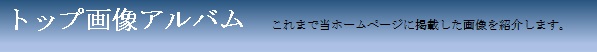 トップページ画像アルバム